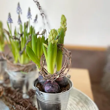 Appartamento Schusterhof-appartments